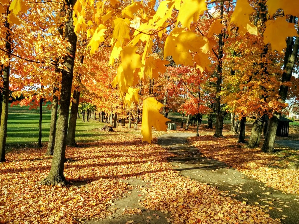 Briar Hill Community Center | 4783 C W Leach Rd, Alliston, ON L9R 2E7, Canada | Phone: (705) 435-8066