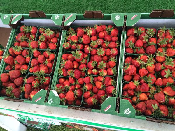 Port Rowan Farmers Market | 11 Sea Queen Rd, Port Rowan, ON N0E 1M0, Canada | Phone: (519) 586-9532