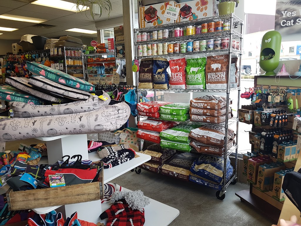 Discover Dogs | 701 Kingsway, Vancouver, BC V5T 3K6, Canada | Phone: (604) 428-3647