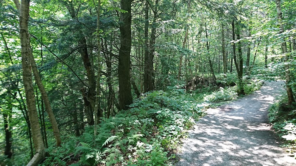 Parc des Deux Rivières | Rue Willard, East Angus, QC J0B 1R0, Canada | Phone: (819) 560-8600