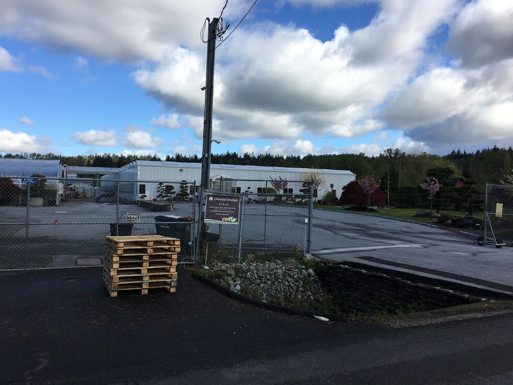 Oriental Orchids Ltd. | 6039 12th Ave, Burnaby, BC V3N 2J2, Canada | Phone: (604) 515-7133