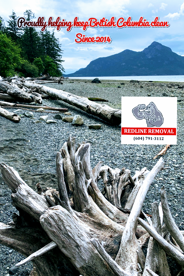 Redline Junk Removal | 9124 Edward St, Chilliwack, BC V2P 4C7, Canada | Phone: (604) 791-3112