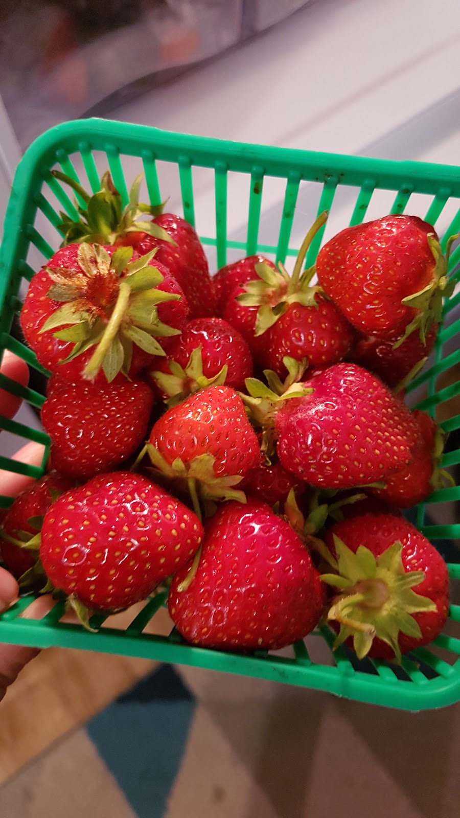 Willow Creek Farms | 1442 Frankford Rd, Frankford, ON K0K 2C0, Canada | Phone: (613) 967-0882