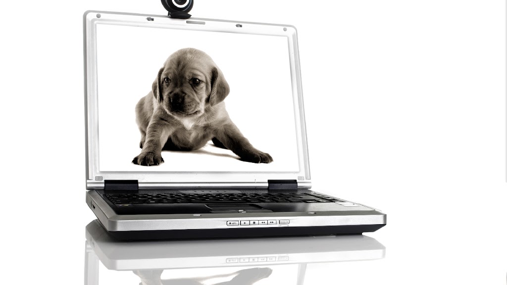Phototaime | 253 Rue Sainte-Catherine suite 110, Saint-Constant, QC J5A 2J6, Canada | Phone: (514) 595-8384
