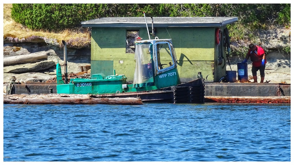Ladysmith Harbour | Ladysmith, BC V9G 1M9, Canada | Phone: (250) 245-4521