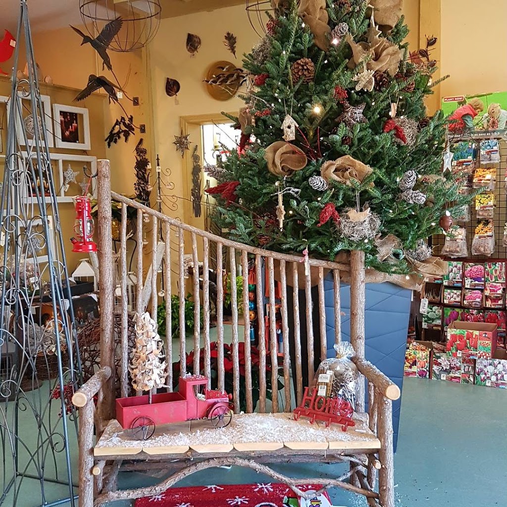 The Living Outdoors Ltd | 486 Main St, Cambridge, ON N1R 5S7, Canada | Phone: (519) 622-1861