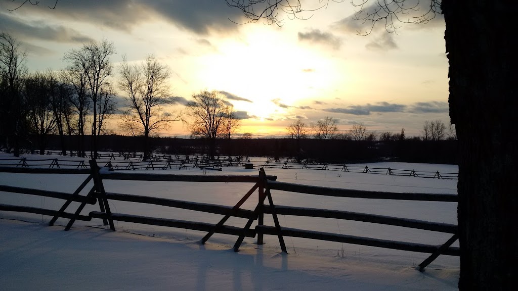 Oak Ridge Stables | 2973 Orser Rd, Elginburg, ON K0H 1M0, Canada | Phone: (613) 329-9755