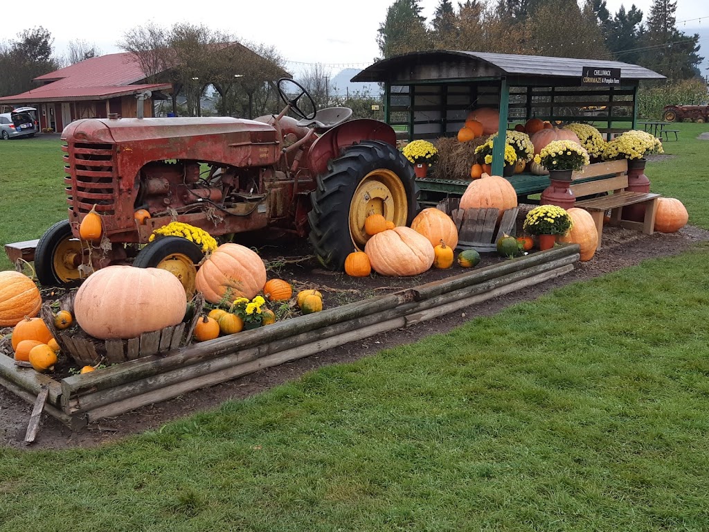 Chilliwack Corn Maze & Pumpkin Farm | 41905 Yale Rd W, Chilliwack, BC V2R 4J4, Canada | Phone: (604) 845-5284