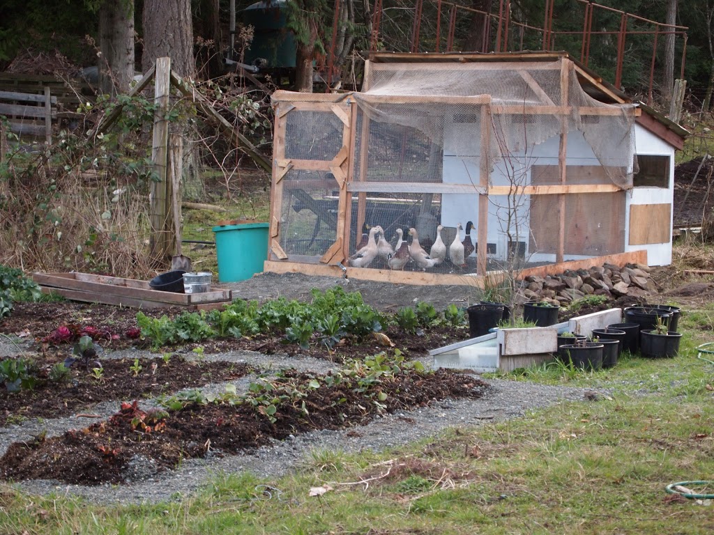 Money Family Farm | 184 E Point Rd, Saturna, BC V0N 2Y0, Canada | Phone: (250) 539-5381