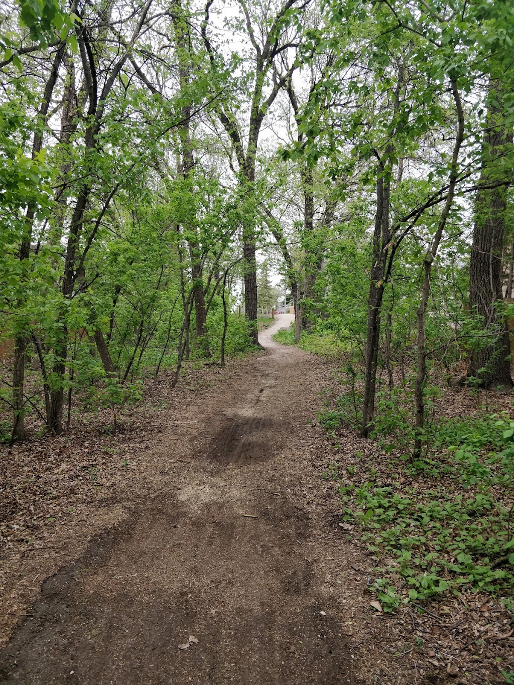 Benjaminson Park | Westwood, Winnipeg, MB R3K 0B1, Canada | Phone: (524) 368-9701