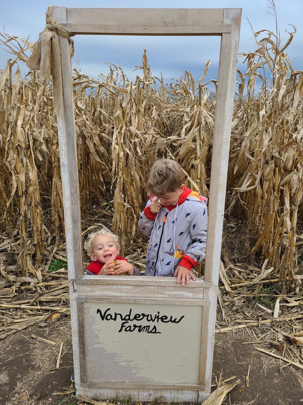 Vanderview Farms | 2200 County Rd 45, Norwood, ON K0L 2V0, Canada | Phone: (705) 639-5777
