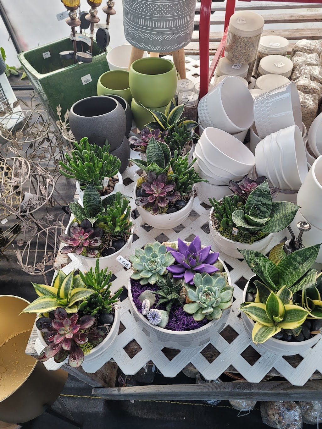 Country Home Gardens | 200 Forest Lea Rd, Pembroke, ON K8A 6W6, Canada | Phone: (613) 732-1139