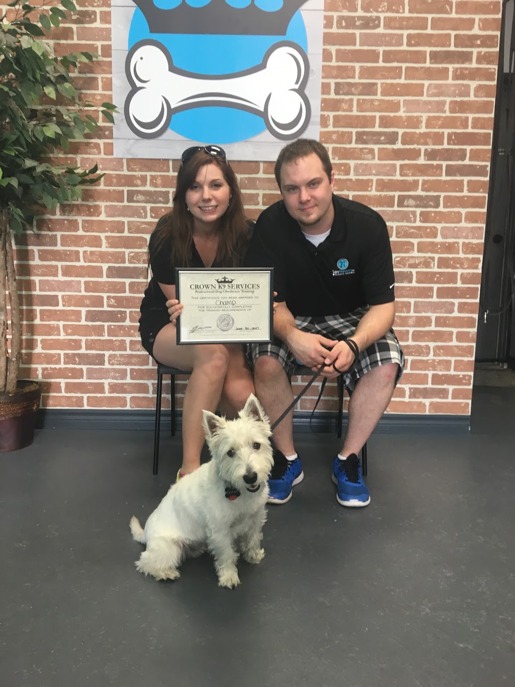 Crown K9 Services | 312 Grays Rd #4, Hamilton, ON L8E 1V5, Canada | Phone: (905) 928-7387