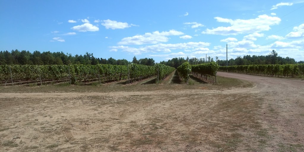 Richibucto River Wine Estate | 940 NB-495, Mundleville, NB E4W 2N5, Canada | Phone: (506) 523-9056