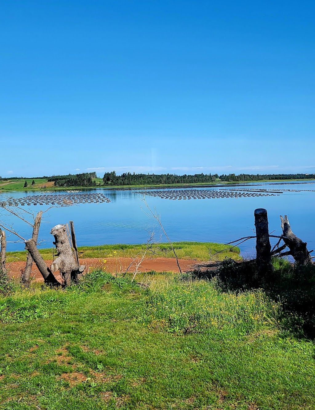 Bayside Travel Park | 112 Camp Rd, Oyster Bed, PE C1E 0L4, Canada | Phone: (902) 621-0144