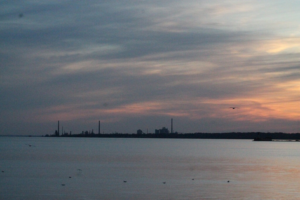 RK McMillan Park | Lakeview, Mississauga, ON, Canada