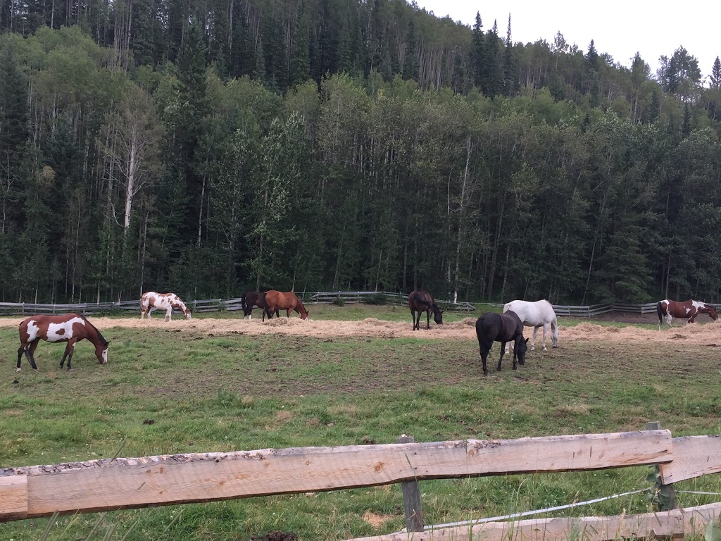 Anderson Valley Ranch | Mountain View County, AB T0M 2E1, Canada | Phone: (403) 637-3737