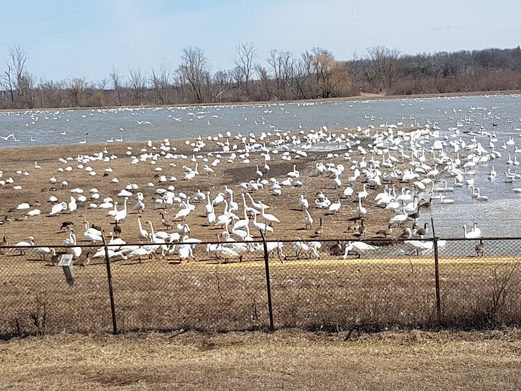 Aylmer Wildlife Management Area | 10594 Hacienda Road, Aylmer, ON N5H 2R3, Canada