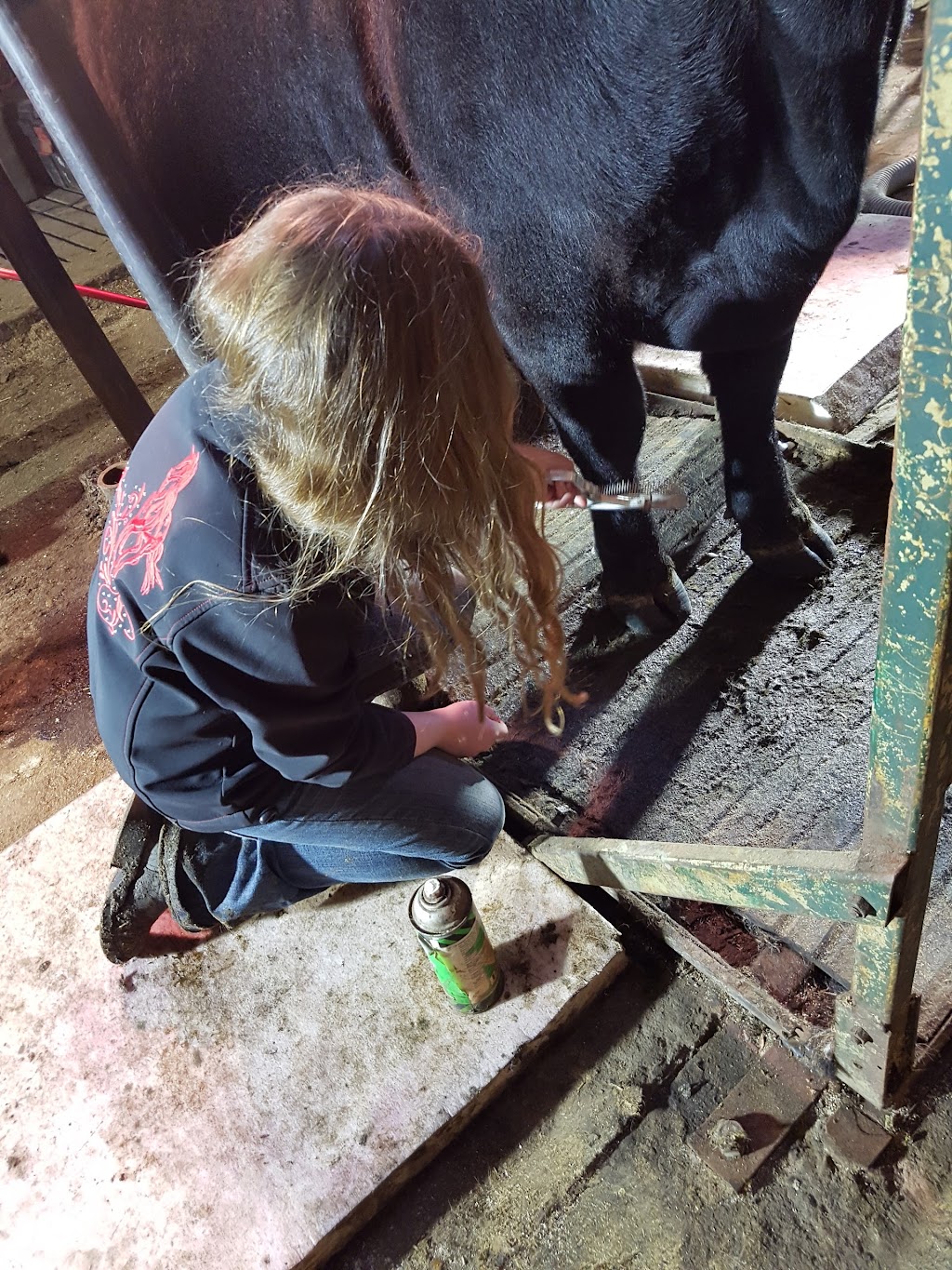 Northline Farms | 53537 Range Rd 212, Ardrossan, AB T8G 2B5, Canada | Phone: (780) 729-3552