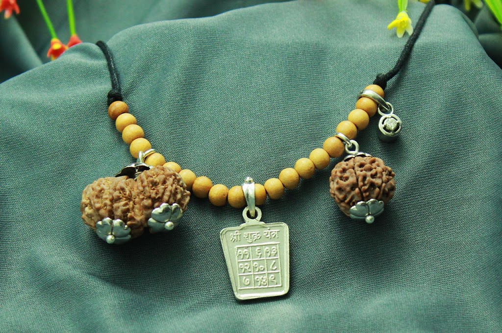 Rudraksha Ratna (Chakra Yog) | Rudraksha Ratna, 425 Britannia Rd E #137, Mississauga, ON L4Z 3E6, Canada | Phone: (647) 300-0249