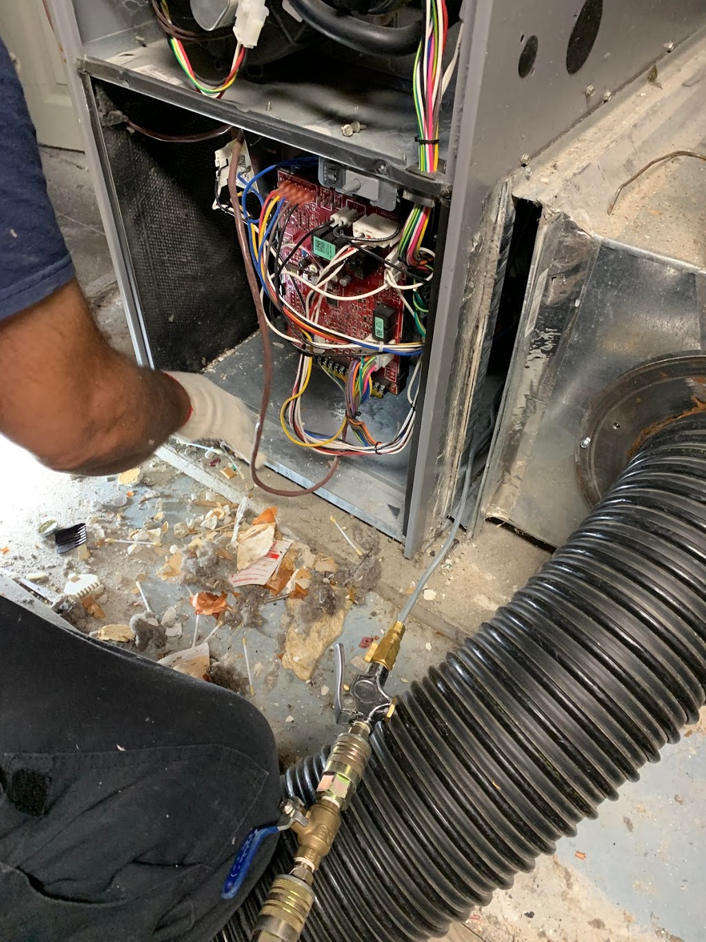 Ontario Steam Carpet & Duct Cleaning Windsor | 704 Newport Crescent, Windsor, ON N9E 4Z6, Canada | Phone: (519) 250-4456