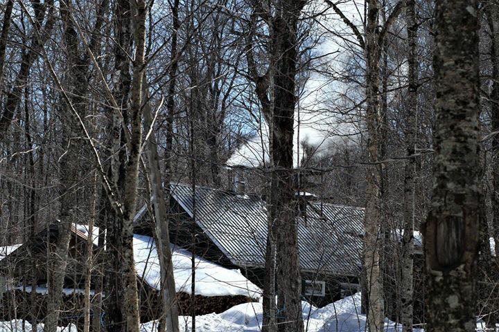 Ferme forestière C.D.H | 309 Rang Saint-Édouard, Saint-Philibert, QC G0M 1X0, Canada | Phone: (418) 230-3895