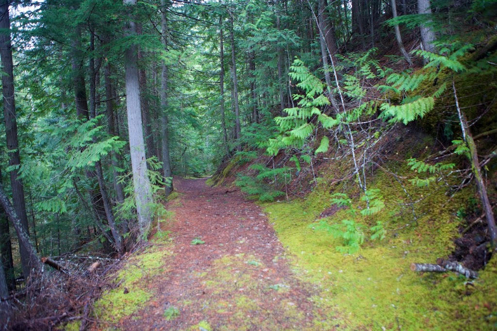 Gold Panner Campground | 423 B Highway 6, Cherryville, BC V0E 2G3, Canada | Phone: (250) 463-4653