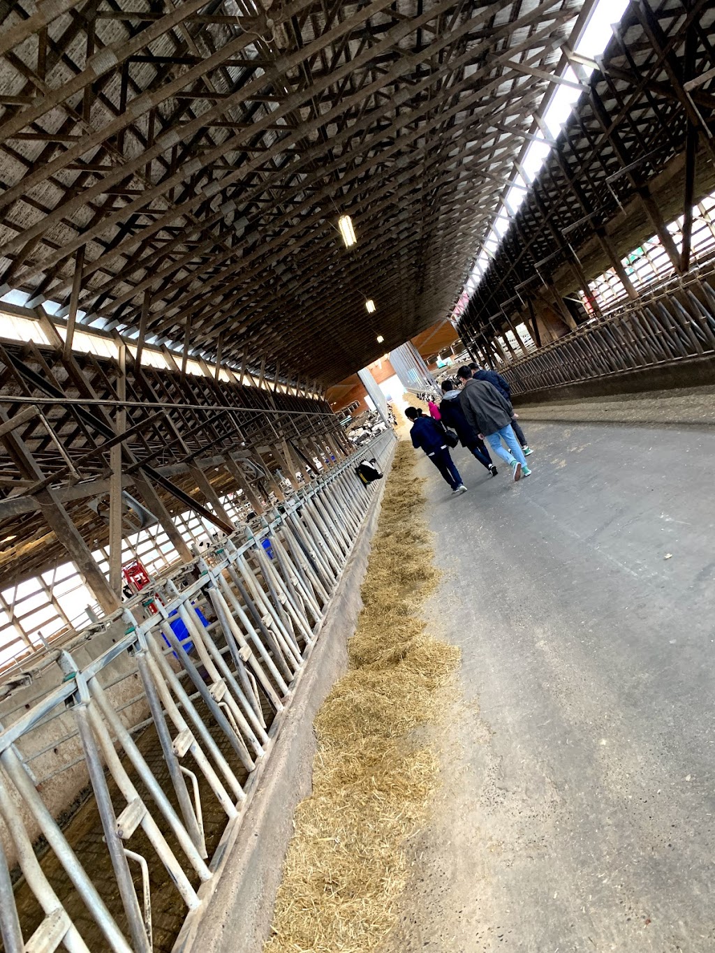 Pacific Dairy Centre Ltd | 8558 Chilliwack Mountain Rd, Chilliwack, BC V2R 3W8, Canada | Phone: (604) 852-9020