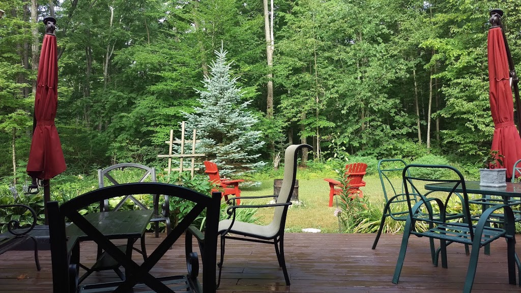 Dragonfly Hollow B&B | lodging | 495498 Veterans Rd S, Holland Centre, ON N0H 1R0, Canada | 5194448693 OR +1 519-444-8693