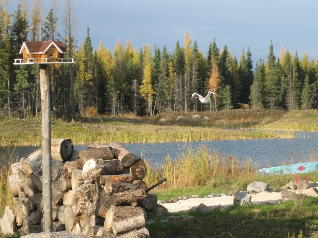 Cedar Creek Resort | 85101 PTh 1 West, East Braintree, MB R0E 0L0, Canada | Phone: (204) 426-5444
