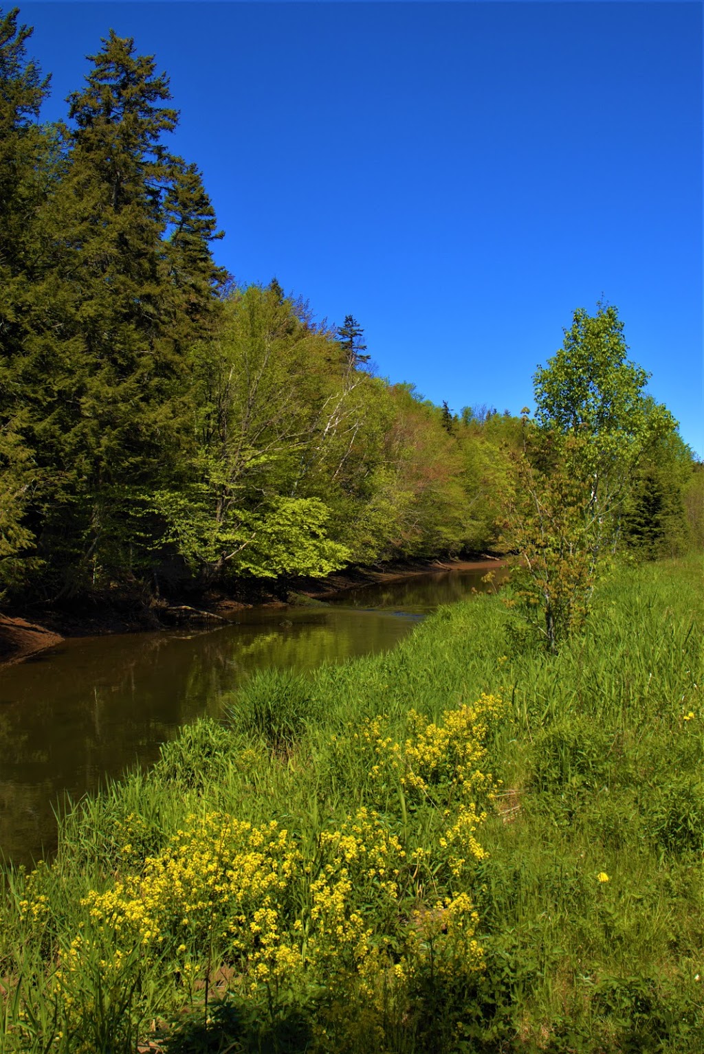Bonshaw Hills Provincial Park | 29 Green Rd, Bonshaw, PE C0A 1C0, Canada | Phone: (902) 859-8790