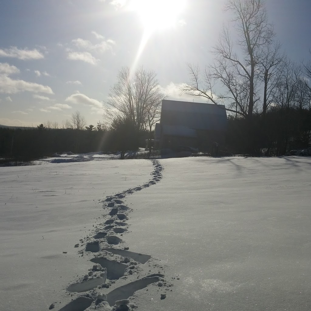 Meadowood | 273 Sarty Rd, Wentzells Lake, NS B4V 8V9, Canada | Phone: (902) 543-0352