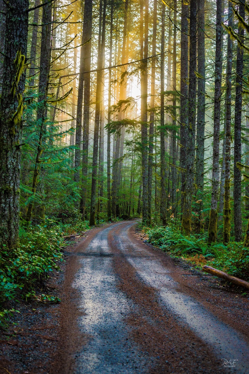 Chemainus River Provincial Park | Lake Cowichan, BC V0R 2G0, Canada