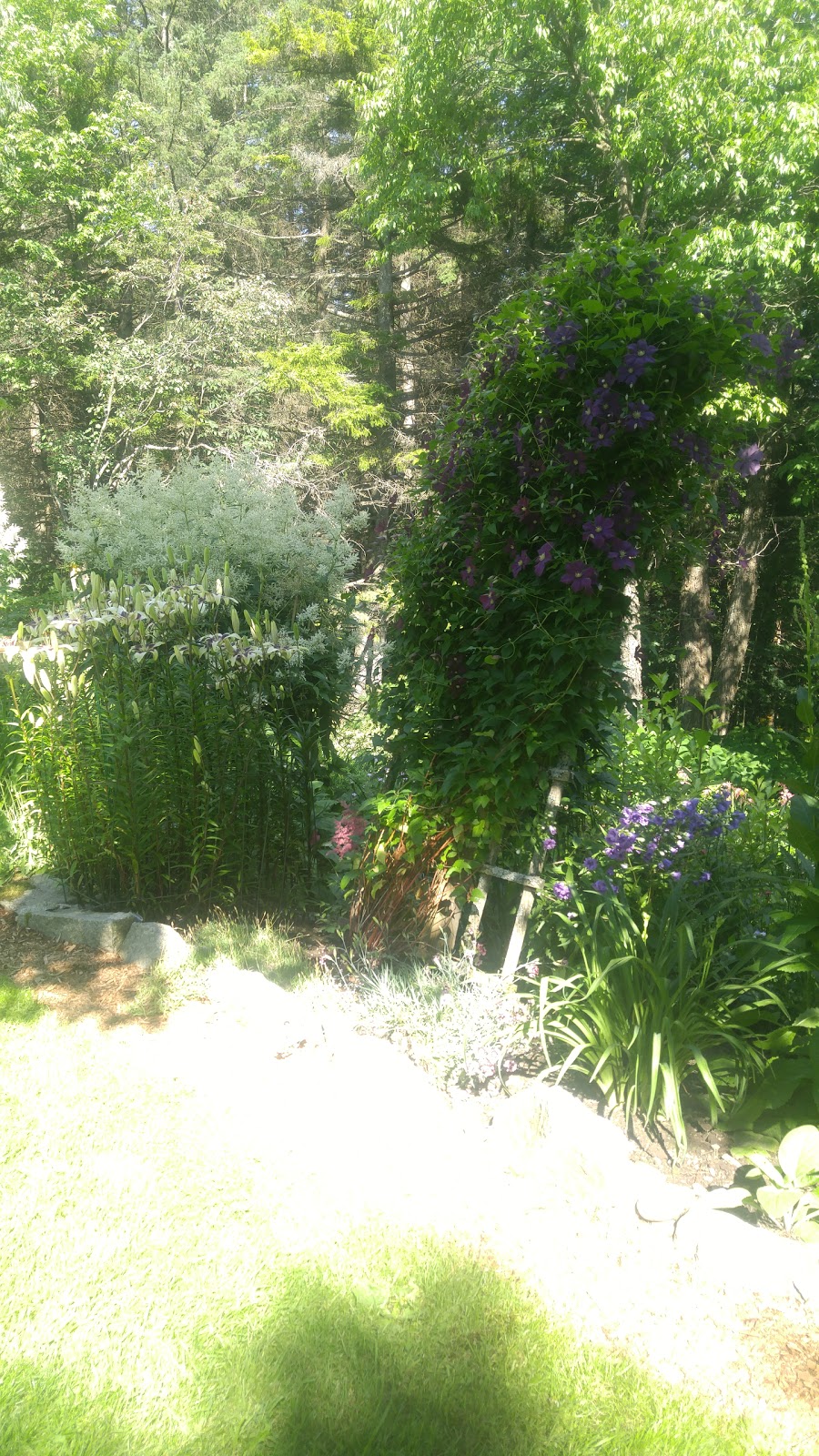 Fernands Perennial Garden | 480 QC-112, East Angus, QC J0B 1R0, Canada | Phone: (819) 832-2714