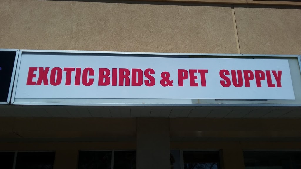 Exotic Birds & Pet Supply | N5R, 32 Churchill Crescent, St Thomas, ON N5R 1N9, Canada | Phone: (519) 207-0707