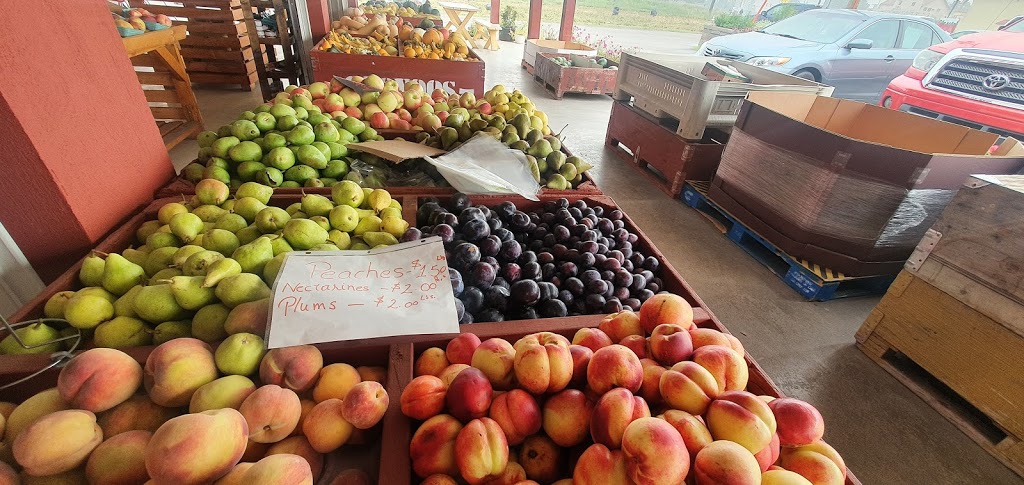 Osoyoos Fruit Basket | 9910 Crowsnest Hwy, Osoyoos, BC V0H 1V2, Canada | Phone: (250) 689-8988