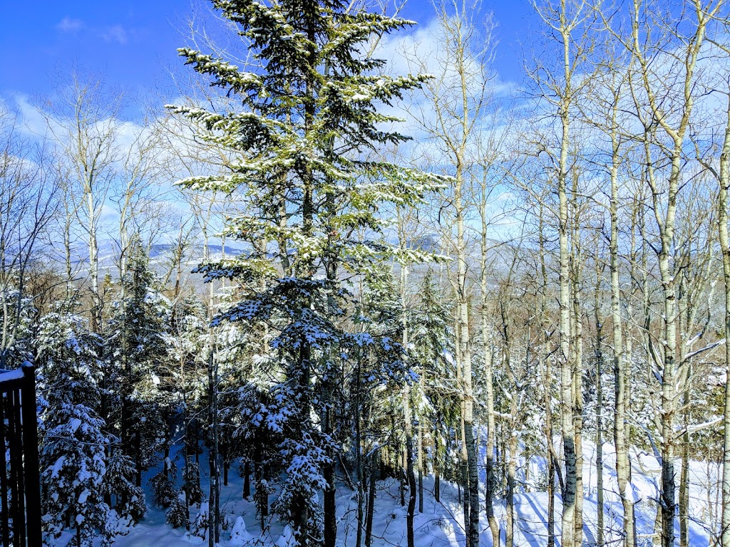 Chalet Charlevoix Mirador sur le fief 2 | 156 Chemin du Fief, Petite-Rivière-Saint-François, QC G0A 2L0, Canada | Phone: (418) 661-2033