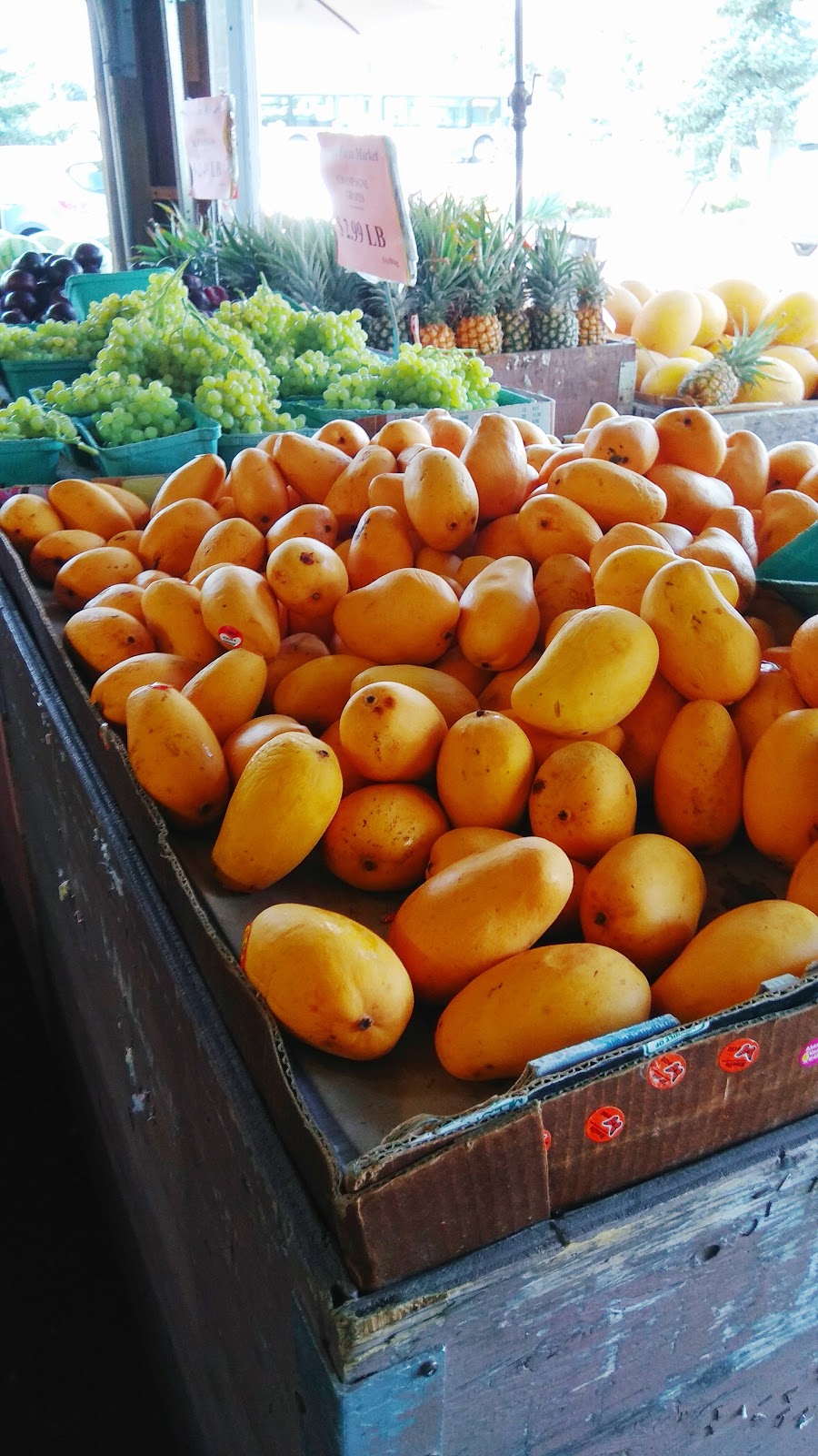 Urban Farm Market | 11900 Westminster Hwy, Richmond, BC V6X 1B3, Canada | Phone: (604) 279-8845