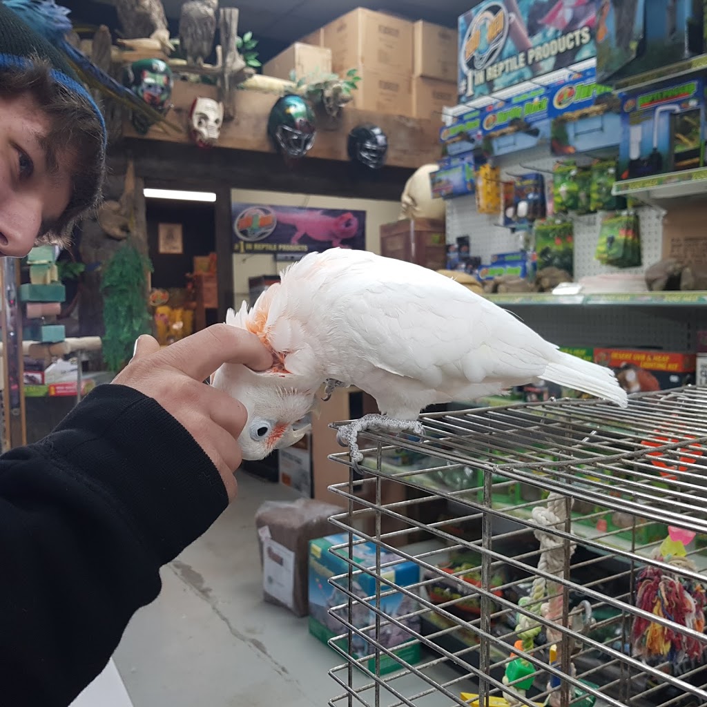 Phils Pets | 77 Durham St W, Lindsay, ON K9V 2P8, Canada | Phone: (705) 878-5792