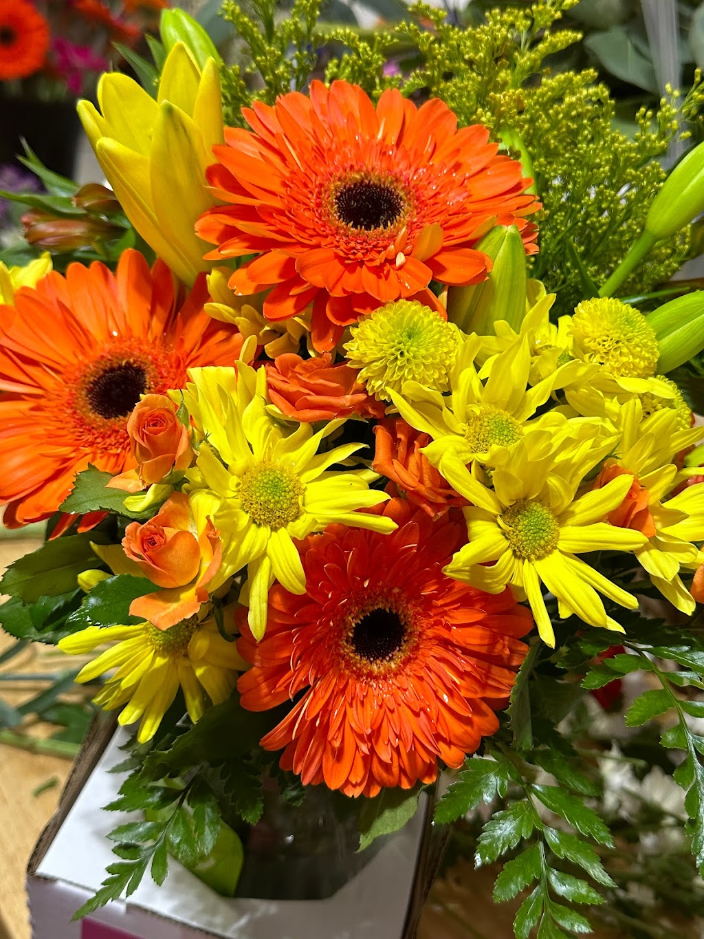 Brighton Backyard Blooms | 22 Walt St, Brighton, ON K0K 1H0, Canada | Phone: (905) 926-9372