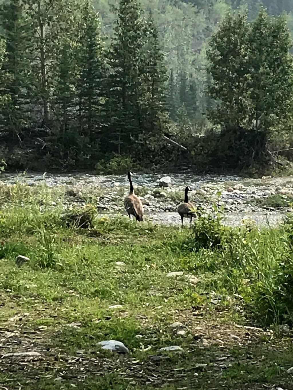 Allen Bill Day Use | Hight 66, Bragg Creek, AB T0L 0K0, Canada