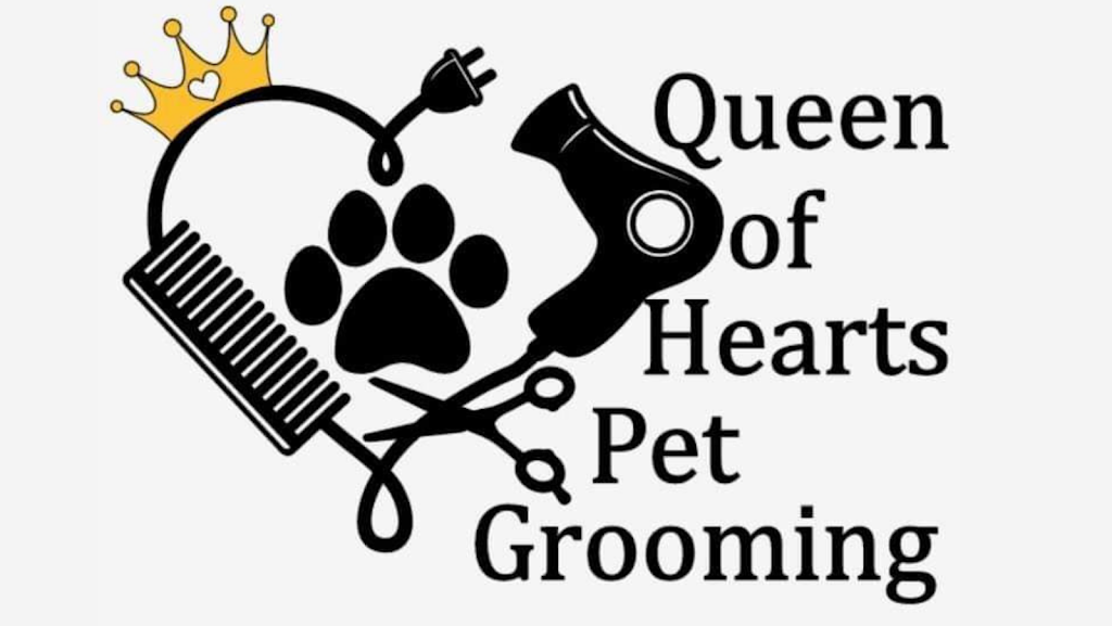 Queen of Hearts Pet Grooming | point of interest | 193051 Township Rd 552, Lamont, AB T0B 2R0, Canada | 5875945748 OR +1 587-594-5748