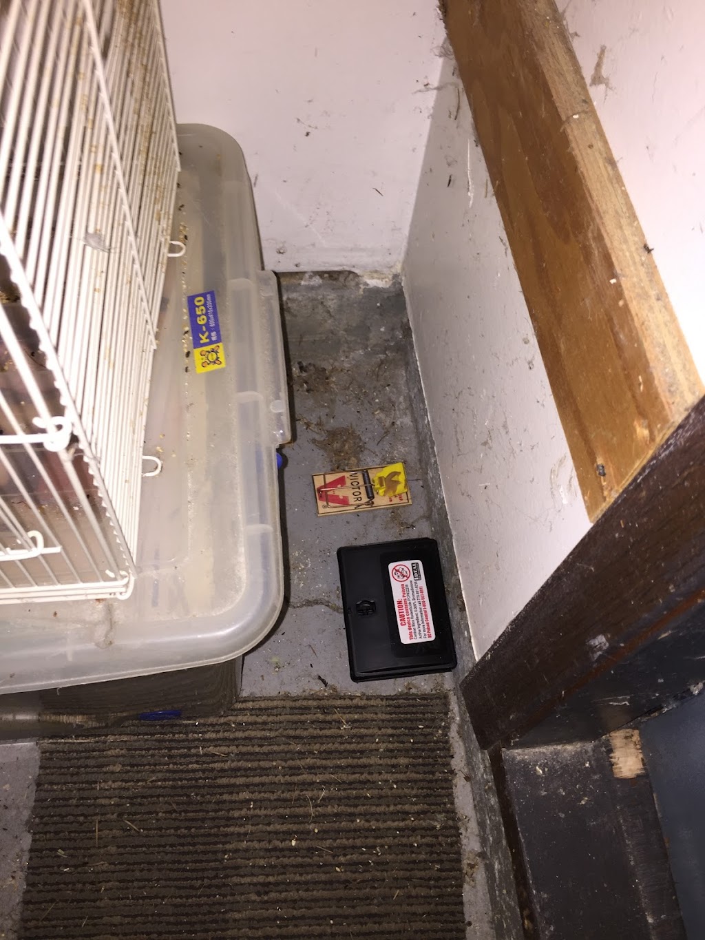 Ideal Pest Control | 12474 78 Ave, Surrey, BC V3W 8K1, Canada | Phone: (778) 891-9215