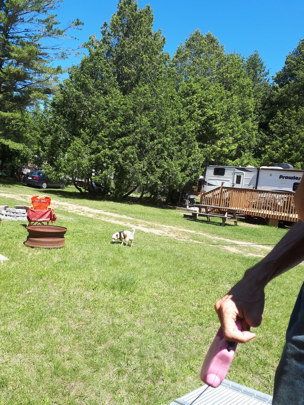 Cedardale Camping & Seasonal Resort | 107 Cedardale Rd, Carrying Place, ON K0K 1L0, Canada | Phone: (613) 475-1105
