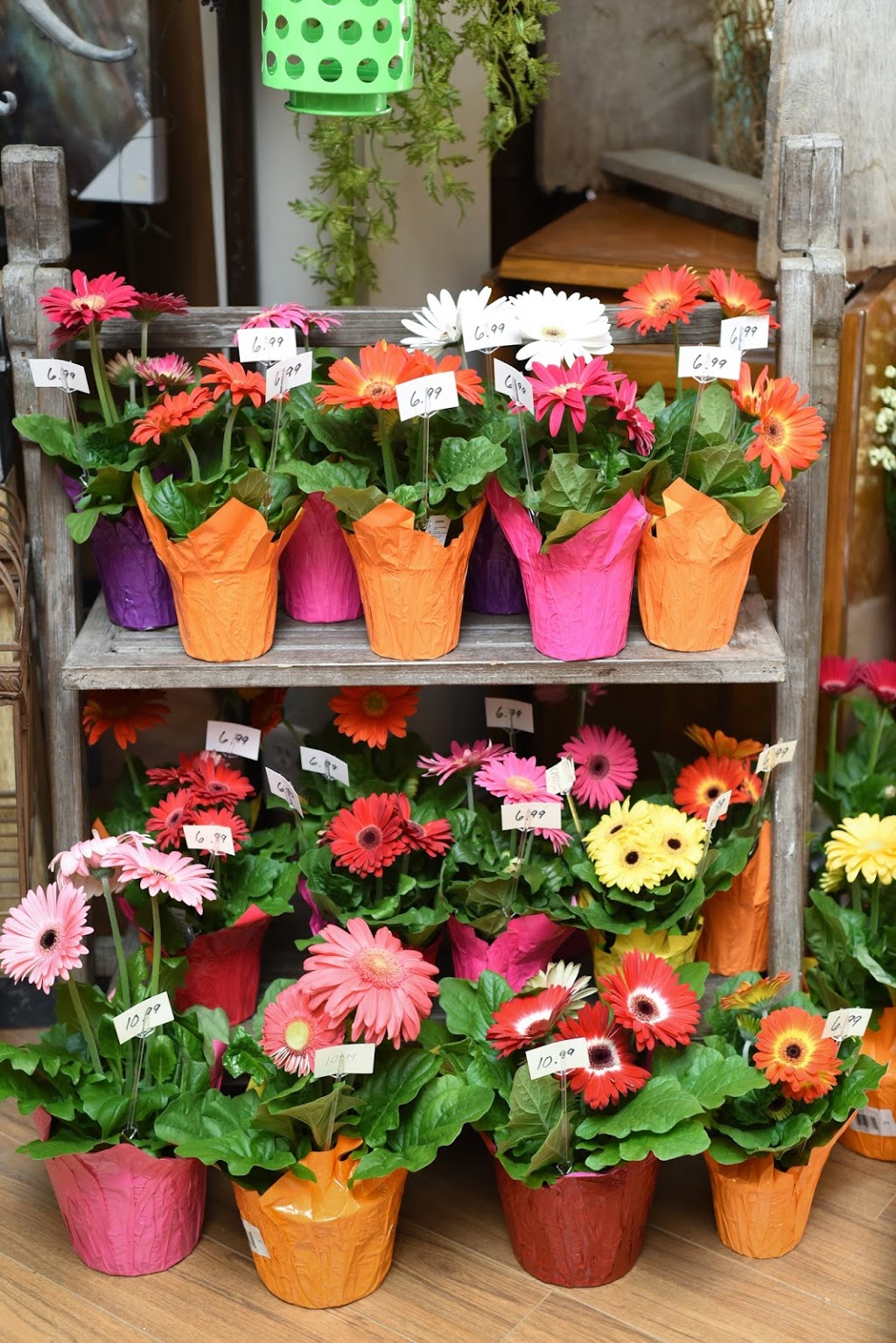 Earthen Elegance Floral | 165 Main St, Lucan, ON N0M 2J0, Canada | Phone: (519) 227-0800