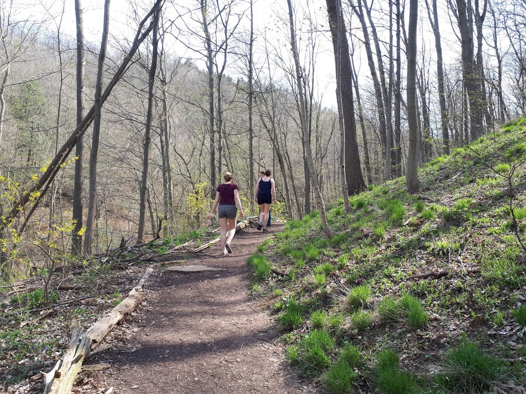 Trail Head- Bruce Side Trail | 4E7, Bruce Trail, Grimsby, ON L3M 3K1, Canada