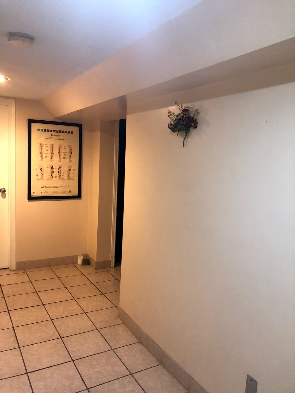 Natureology | 661 The Queensway, Etobicoke, ON M8Y 1K8, Canada | Phone: (647) 351-8839