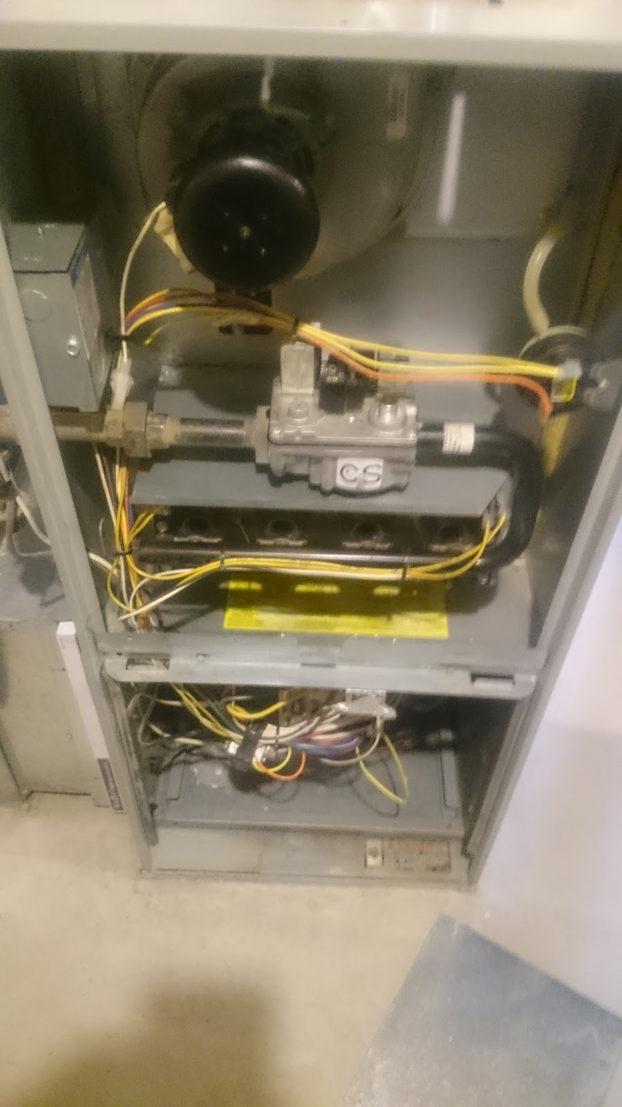 Seel Carpet and Furnace Cleaning | 1718 34 St SE, Calgary, AB T2A 1A3, Canada | Phone: (403) 276-9100