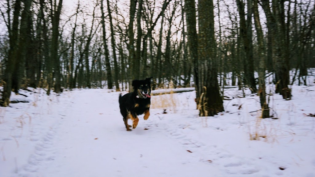 Beaudry Provincial Park | MB-241, Springstein, MB R0G 2N0, Canada | Phone: (800) 214-6497