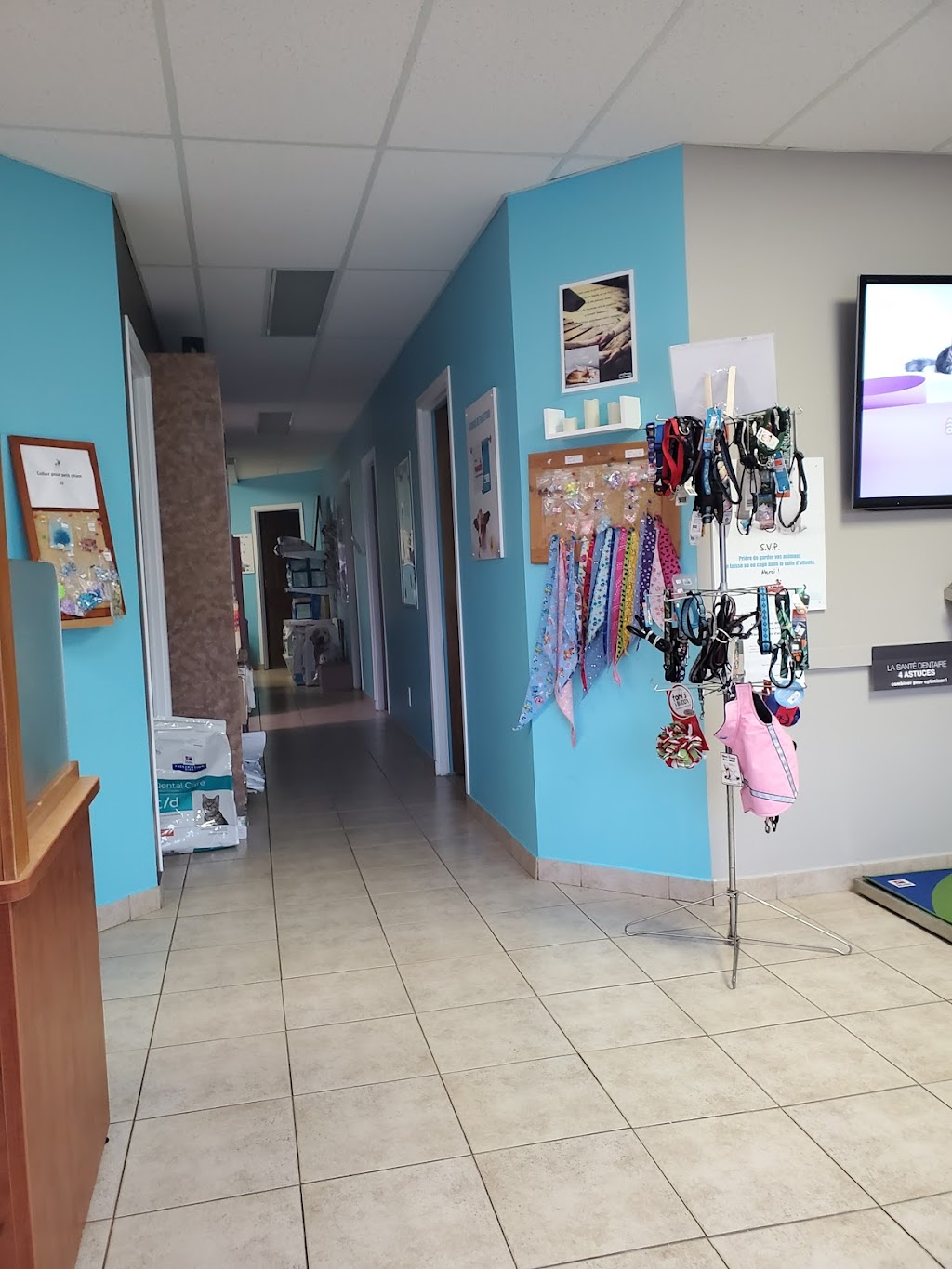 Clinique vétérinaire Dr Karina Paradis | 772 Bd Barrette, Chicoutimi, QC G7J 3Z5, Canada | Phone: (418) 690-0064